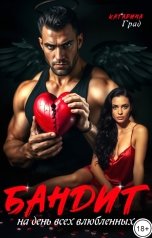 обложка книги Катарина Град "Бандит на День всех влюбленных"