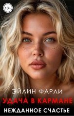 обложка книги Эйлин Фарли "Удача в кармане"