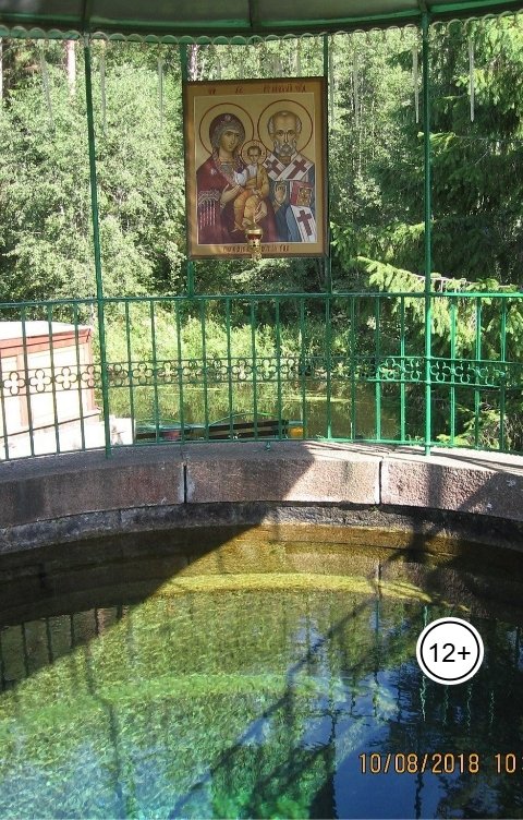 Обложка книги Геннадий Травников Родник.