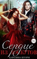 обложка книги Каролина Шторм "Сердце из лоскутов"