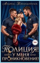 обложка книги Андреас Попандопулос "Полиция! У меня проникновение!"