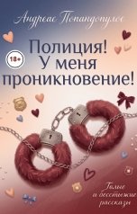 обложка книги Андреас Попандопулос "Полиция! У меня проникновение!"