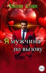 обложка книги Киссия Старк "Я мужчина по вызову"