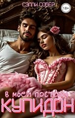 обложка книги Сэлли Собер "Купидон в моей постели"