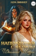 обложка книги Лера Виннер "Наперегонки с ветром. Идеальный шторм"