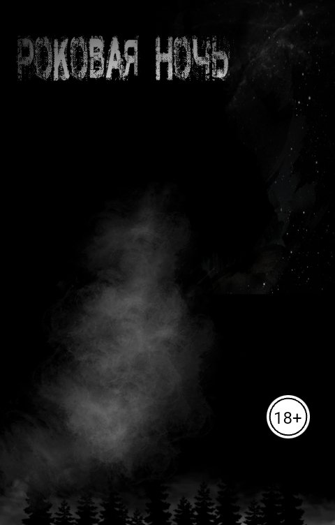 Обложка книги Vladislav Kalinin Роковая ночь