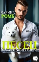 обложка книги Карина Ромб "Песец подкрался незаметно"