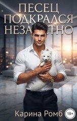 обложка книги Карина Ромб "Песец подкрался незаметно"