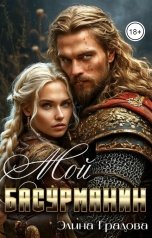 обложка книги Элина Градова "Мой басурманин"