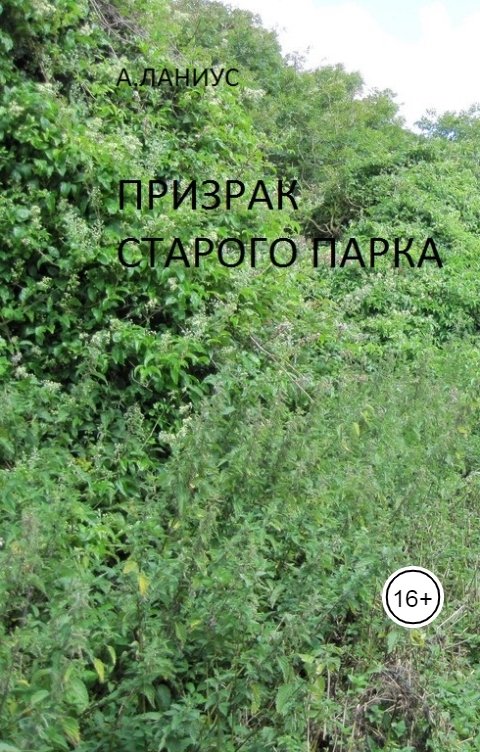 Обложка книги Андрей Ланиус Призрак Старого Парка