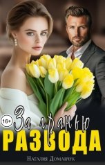 обложка книги Наталия Доманчук "За гранью развода"