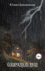 обложка книги Юлия Цыпленкова "Собиратель душ"