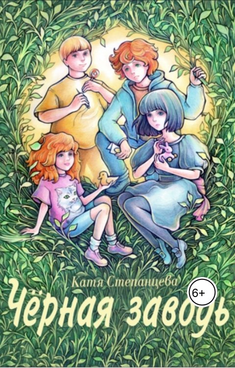 Обложка книги Катя Степанцева Черная заводь