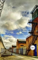 обложка книги Андрей Погорелко "На свободу с чистой совестью."