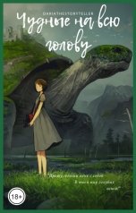 обложка книги Даша Сторителлер "Чудные на всю голову"