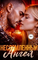 обложка книги Елена Левашова "Несломленный ангел"