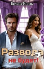 обложка книги Велена Князь "Развода не будет!"