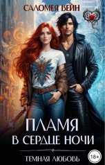 обложка книги Саломея Вейн "Пламя в сердце Ночи"
