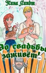 обложка книги Нина Линдт "До свадьбы заживет!"