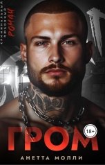 обложка книги Анетта Молли "Гром"