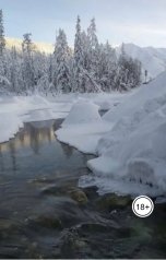 обложка книги Диана Че "Партийное замужество"