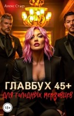 обложка книги Алекс Стар "Главбух 45 плюс для голодных мерзавцев"