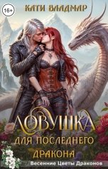 обложка книги Кати Владмар "Ловушка для последнего дракона"
