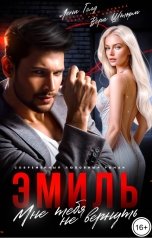 обложка книги Лена Голд, Вера Шторм "Эмиль. Мне тебя не вернуть"