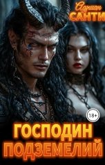 обложка книги Адриан Санти "Господин подземелий"