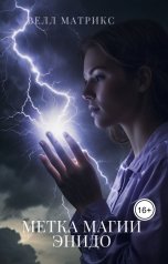 обложка книги Велл Матрикс "Метка магии энидо"