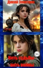 обложка книги Дикий Электрик "Нить судьбы-нить войны."