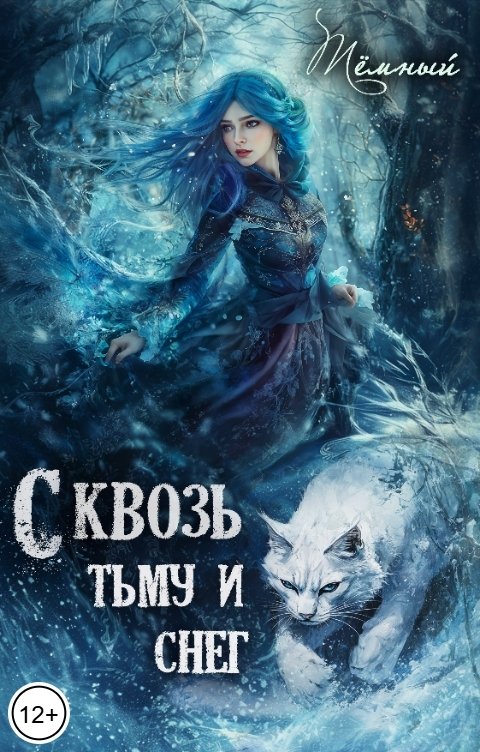 Обложка книги Тёмный Сквозь тьму и снег