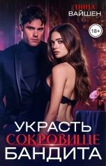 обложка книги Нина Вайшен "Украсть сокровище бандита"