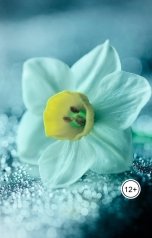 обложка книги Шалфей "Последний день"