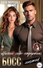 обложка книги Катя Морошка "Ничего себе подарочек, босс"