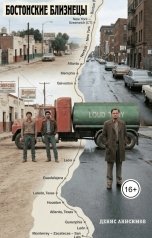 обложка книги Денис Анисимов "Бостонские близнецы"