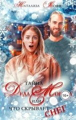 обложка книги Натализа Кофф "Тайна Деда Мороза, или Что скрывает Снег"
