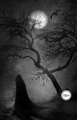 обложка книги Шалфей "Голос во тьме"