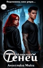 обложка книги Анжелика Мики "Академия Теней"