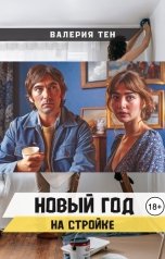 обложка книги Валерия Тен "Новый год на стройке"