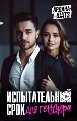 обложка книги Ардана Шатз "Испытательный срок для гендира"