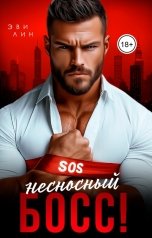 обложка книги Эви Лин "SOS! Несносный босс!"