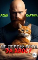 обложка книги Карина Ромб "Не дергай кота за хвост"