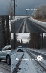 обложка книги Алекс Вестов "Внезапная поездка"