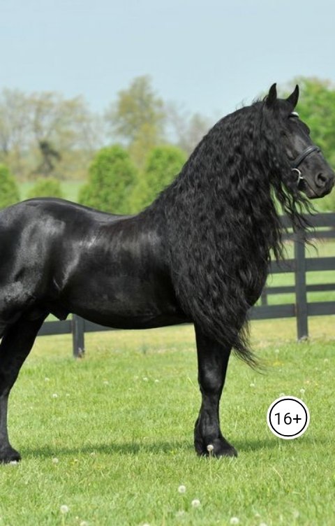 Обложка книги Дмитрий Ан Война с войной