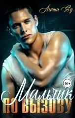 обложка книги Агата Яд "Мальчик по вызову"