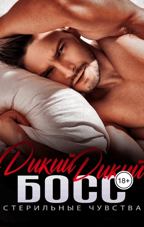 Обложка книги Ева Мелоди Дикий дикий босс