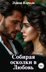 обложка книги Элиза Король "Собирая осколки в Любовь"