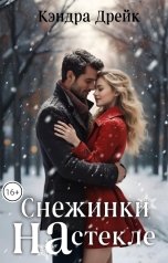 обложка книги Кэндра Дрейк "Снежинки на стекле"