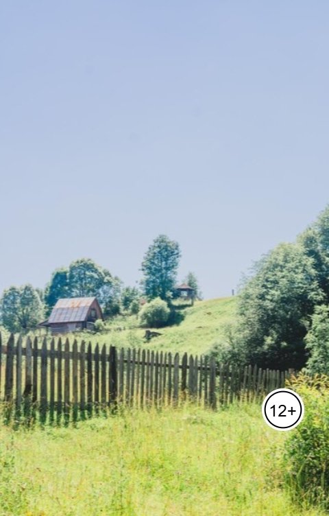 обложка книги Леший
